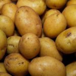 How do you store German Butterball potatoes?
