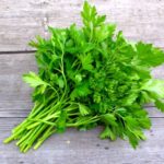 How do you store cilantro long term?