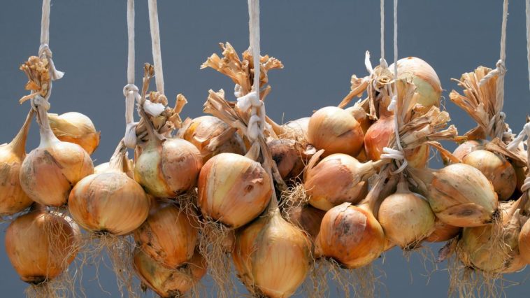 How do you store shallots oil?