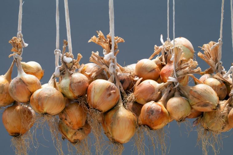 How do you store shallots oil?