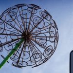 How do you tell if it's a dandelion?