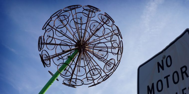 How do you tell if it's a dandelion?