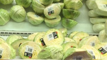 How do you thaw frozen cabbage quickly?