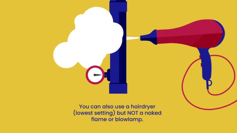 How do you unfreeze soybeans?