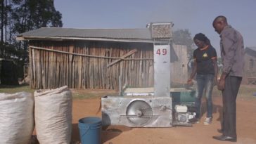 How does a maize dryer work?