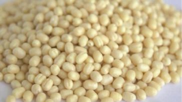 How does urad dal look?