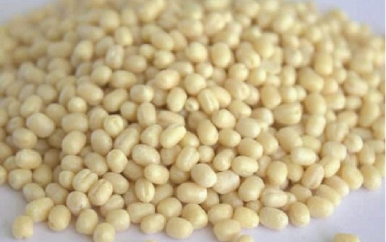 How does urad dal look?