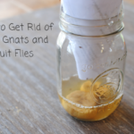 How does vinegar and gnats get rid of soap?