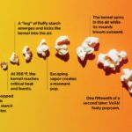 How hot does it have to be to pop a popcorn kernel?