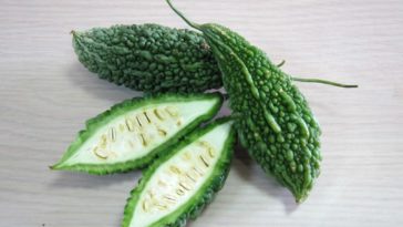 How long can bitter gourd last?