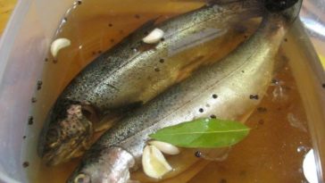 How long can you brine fish before smoking?