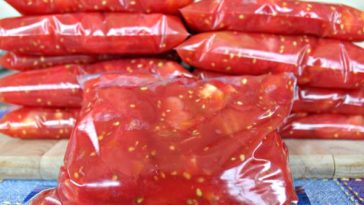 How long can you keep fresh tomatoes in the freezer?