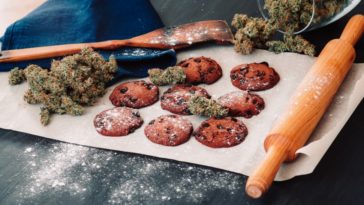 How long do Fairytale Brownies stay fresh?