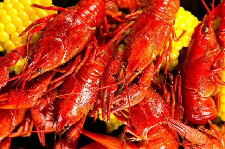 How long do you boil crawfish for?