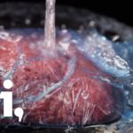 How long does beef need to defrost?