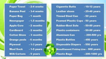 How long does it take a plastic fork to decompose?
