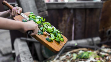 How long does it take compost to turn into soil?