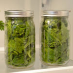 How long does lettuce last in a Mason jar?