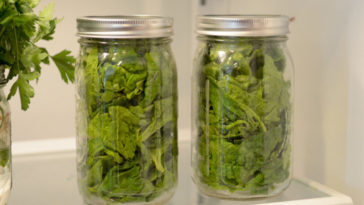 How long does lettuce last in a Mason jar?