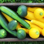 How long does zucchini last on the counter?