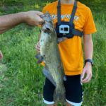 How long is a 1 pound catfish?