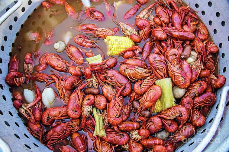 How long should I boil fish heads?