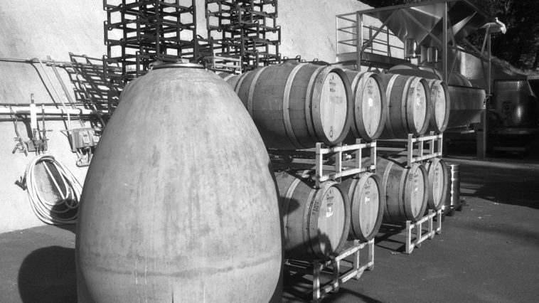 How long wine fermentation takes?