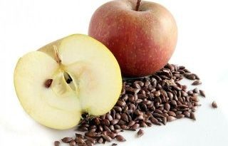 How many apple seeds will kill a human?