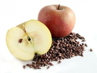 How many apple seeds will kill a human?