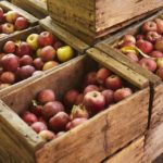 How many apples are in a pound?