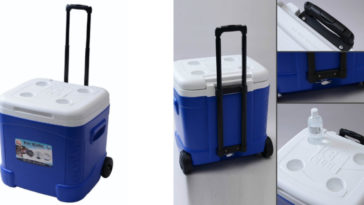 How many beers can you fit in a 30 quart cooler?