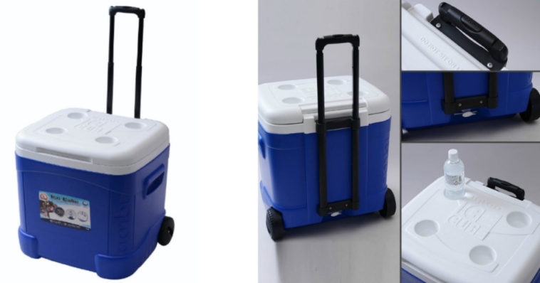 How many beers can you fit in a 30 quart cooler?