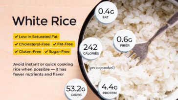 How many calories is 1 cup of steam rice?