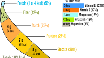 How many calories is a medium sized banana?