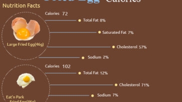 How many calories is one fried egg?