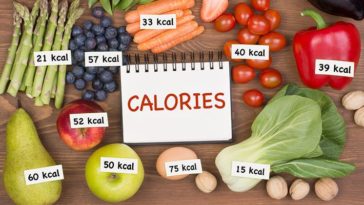 How many calories should I have a day?