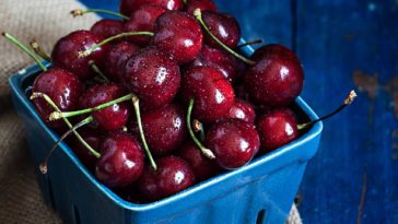 How many cherries make 100 calories?