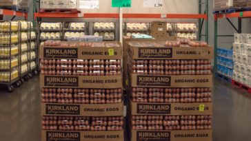 How many eggs come in a pack at Costco?