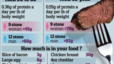 How much chapati should I eat in a day?
