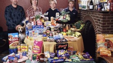 How much is a week's worth of groceries for 1 person?