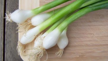 How much of green onions can you use?
