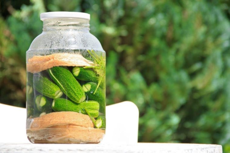 How much pickle juice should you drink daily?