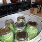 How much water do you put in a pressure canner?