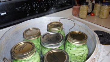 How much water do you put in a pressure canner?