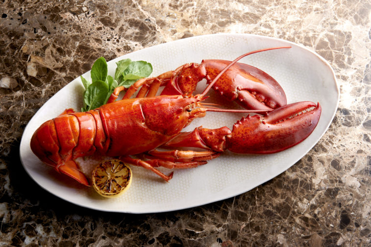 How old is a 2 pound lobster?