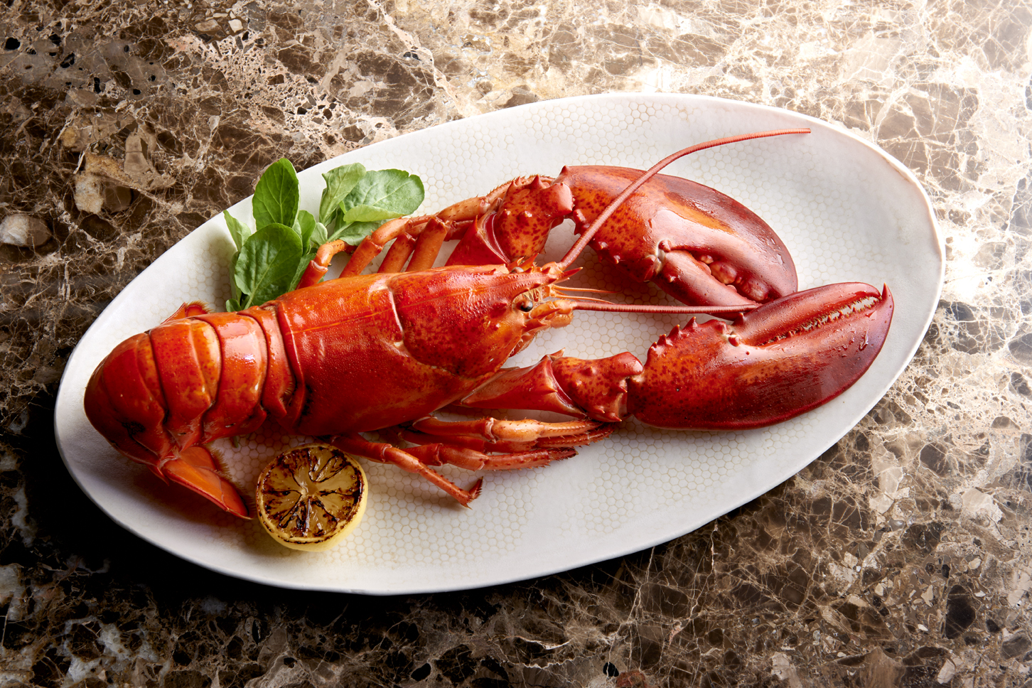 how-old-is-a-2-pound-lobster