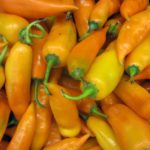 How spicy is aji amarillo?
