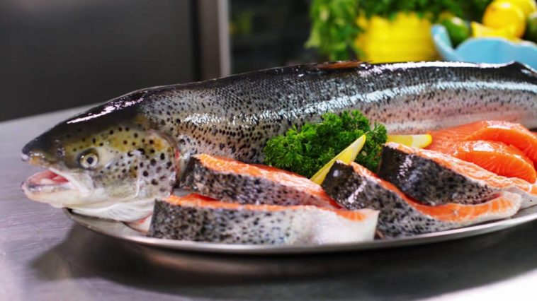 Is Atlantic salmon healthy?