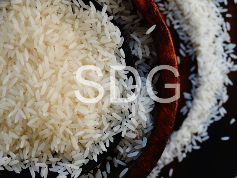 Is Basmati rice a medium-grain?