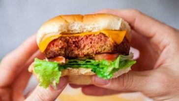 Is Beyond Meat highly processed?